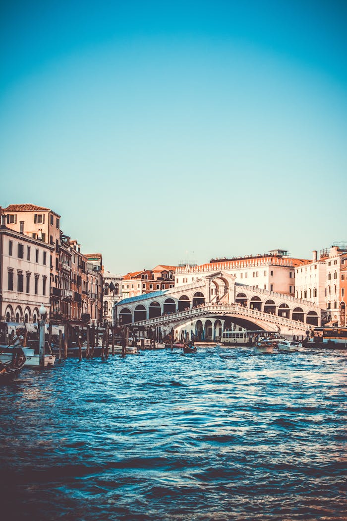 gallery-1 Explore the iconic Rialto Bridge over the Grand Canal in Venice, a must-visit tourist spot.