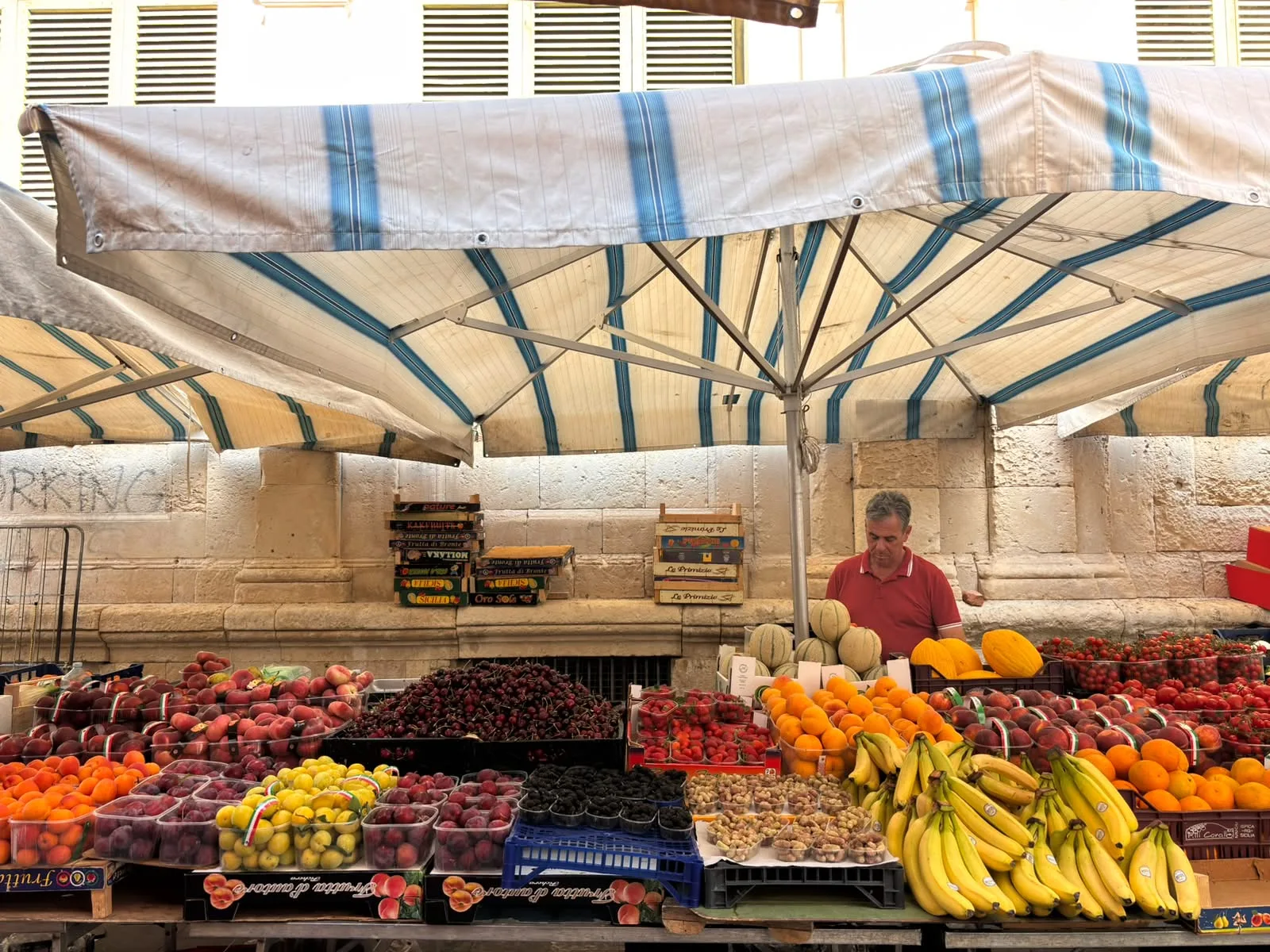 Pelin - Local Knowledge